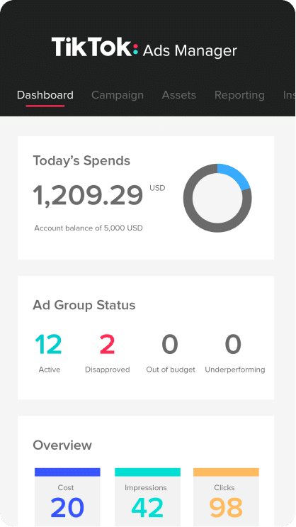 tiktok ads manager